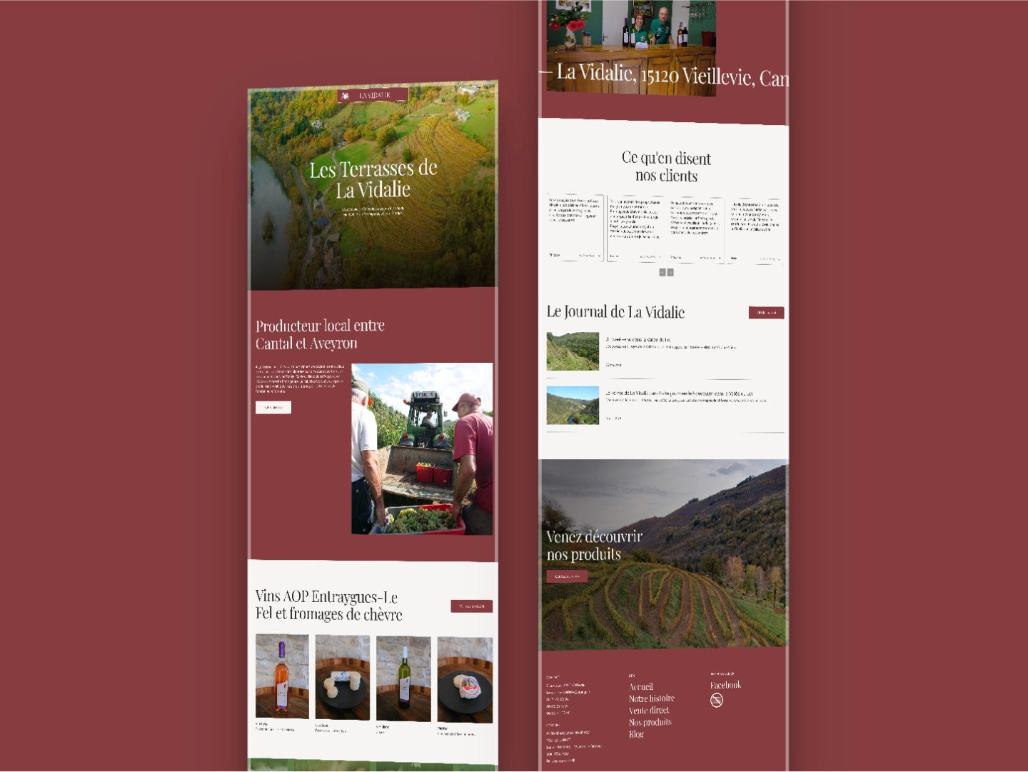 Vue d’ensemble de la page d’accueil du site — Les Terrasses de La Vidalie