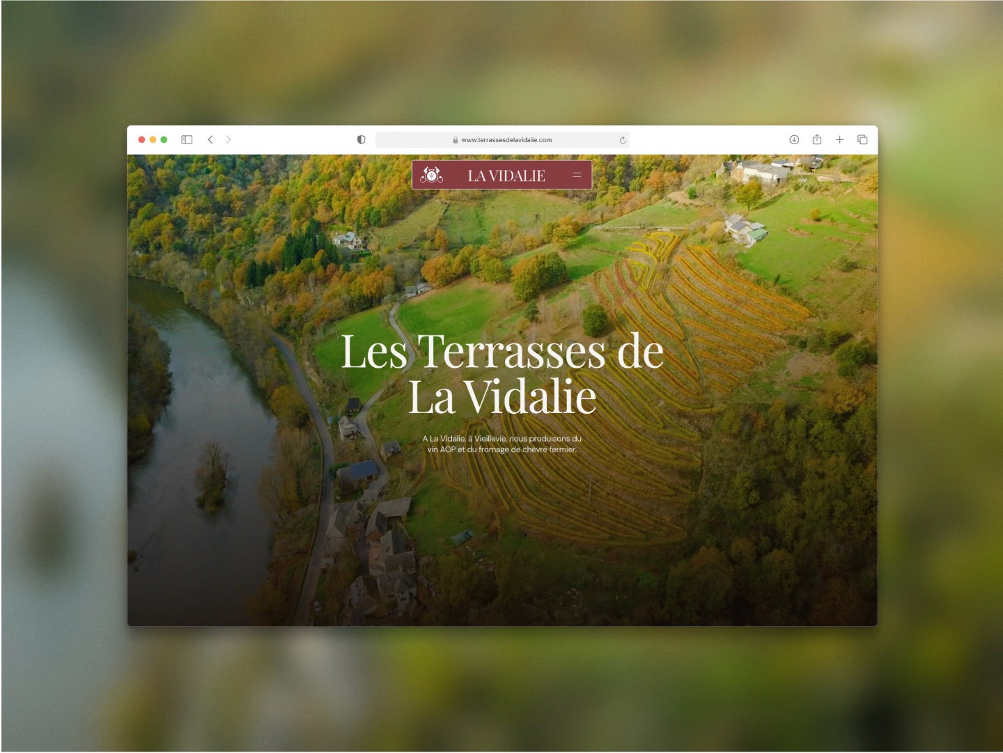 Page d’accueil du site présentée dans un navigateur — Les Terrasses de La Vidalie